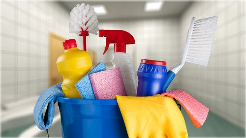Carpet cleaning team using sustainable practices in Brompton