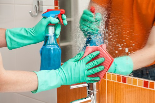Professional window cleaning for Brompton homes and flats