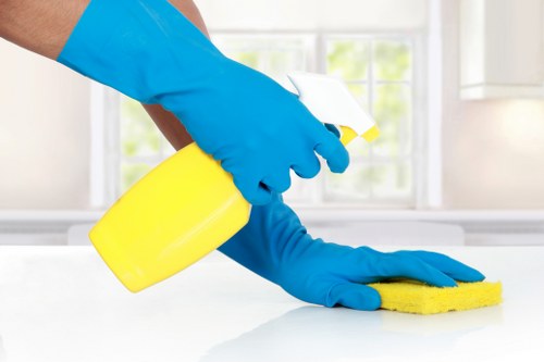 Gutter cleaning service on a Brompton home exterior