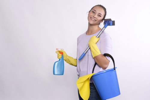 Detailed kitchen cleaning before moving into a Brompton home